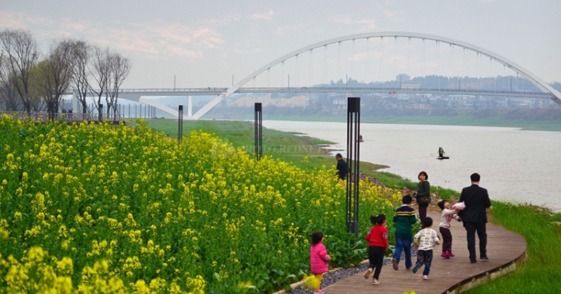 湘江城市運(yùn)營管理有限公司的巴溪洲水上樂園項目